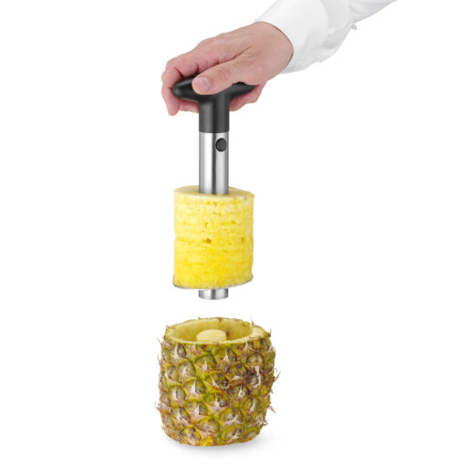 Ananas kutter med ananas skiver